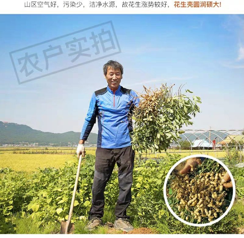发酵腐熟花生壳君子蝴蝶兰石斛通用植料盆栽有机肥兰花种植营