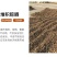 发酵腐熟花生壳君子蝴蝶兰石斛通用植料盆栽有机肥兰花种植营