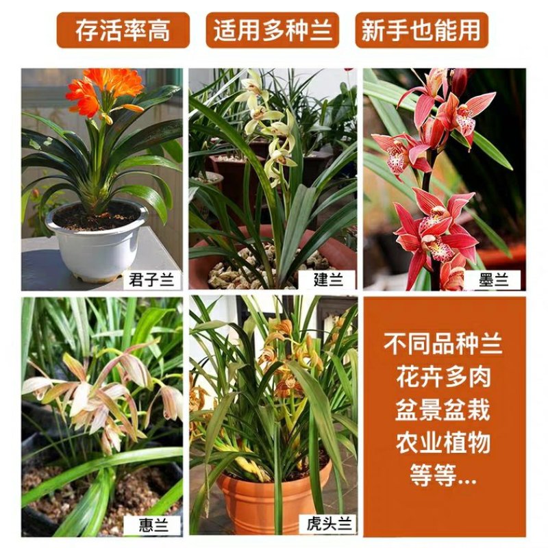 发酵腐熟花生壳君子蝴蝶兰石斛通用植料盆栽有机肥兰花种植营