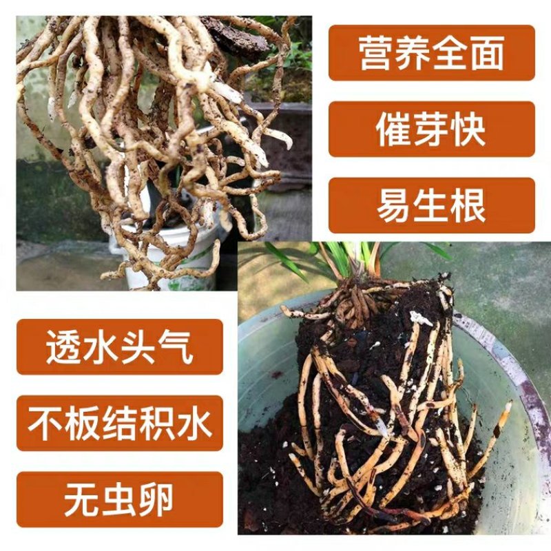 发酵腐熟花生壳君子蝴蝶兰石斛通用植料盆栽有机肥兰花种植营