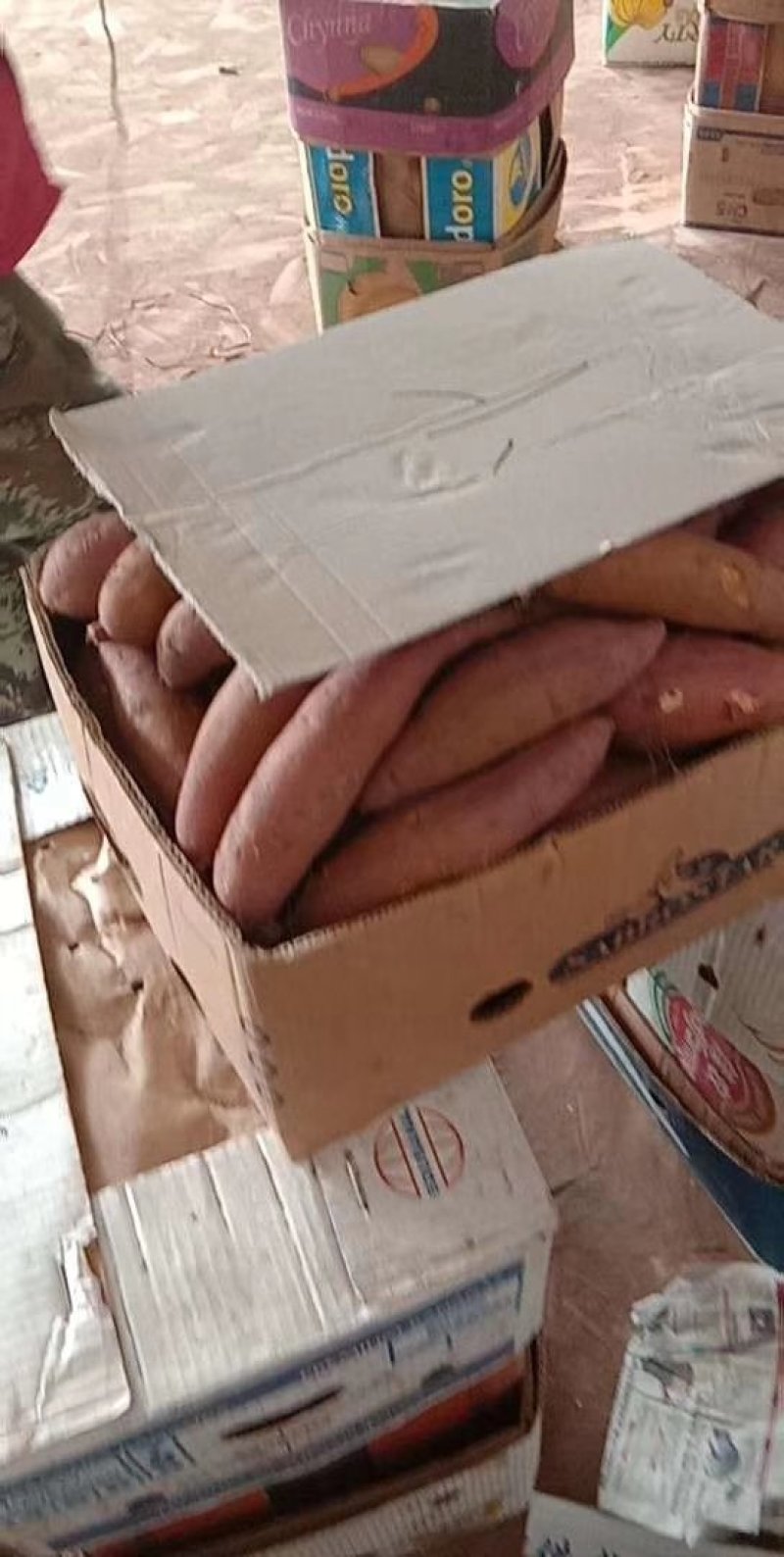 【火爆品种】红心王地瓜欢迎采购商来采购