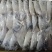 平鱼金鲳银鲳