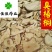臭梧桐臭梧桐根好统货无碎末实物图供应各种中药材