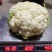 白面青梗松花菜22亩11月20开卖！