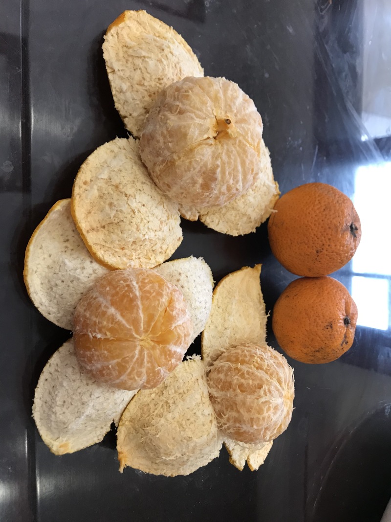 正宗新会核心产区3年陈皮，自然生晒，生态种植，自产自销