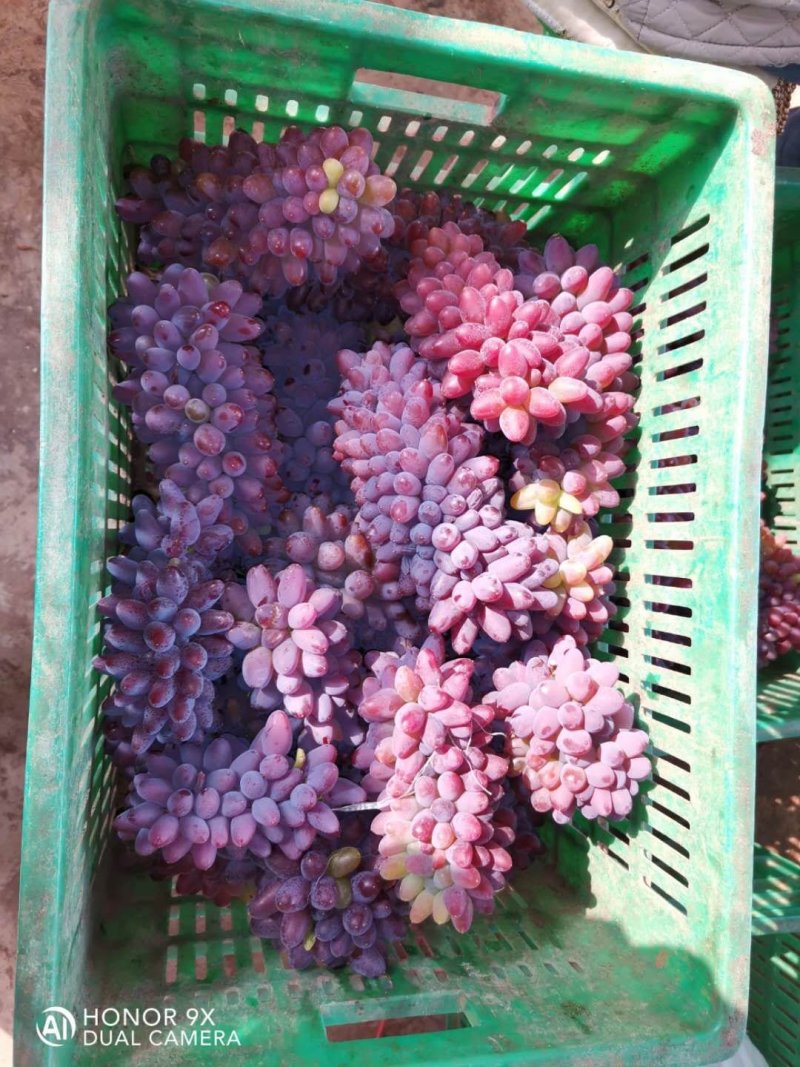 水果