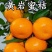 黄岩无核蜜桔苗嫁接桔子树苗甜橘子黄岩蜜桔果树苗