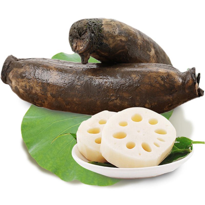 莲藕，新鲜莲藕，现挖现卖！快速发货！保鲜运输！
