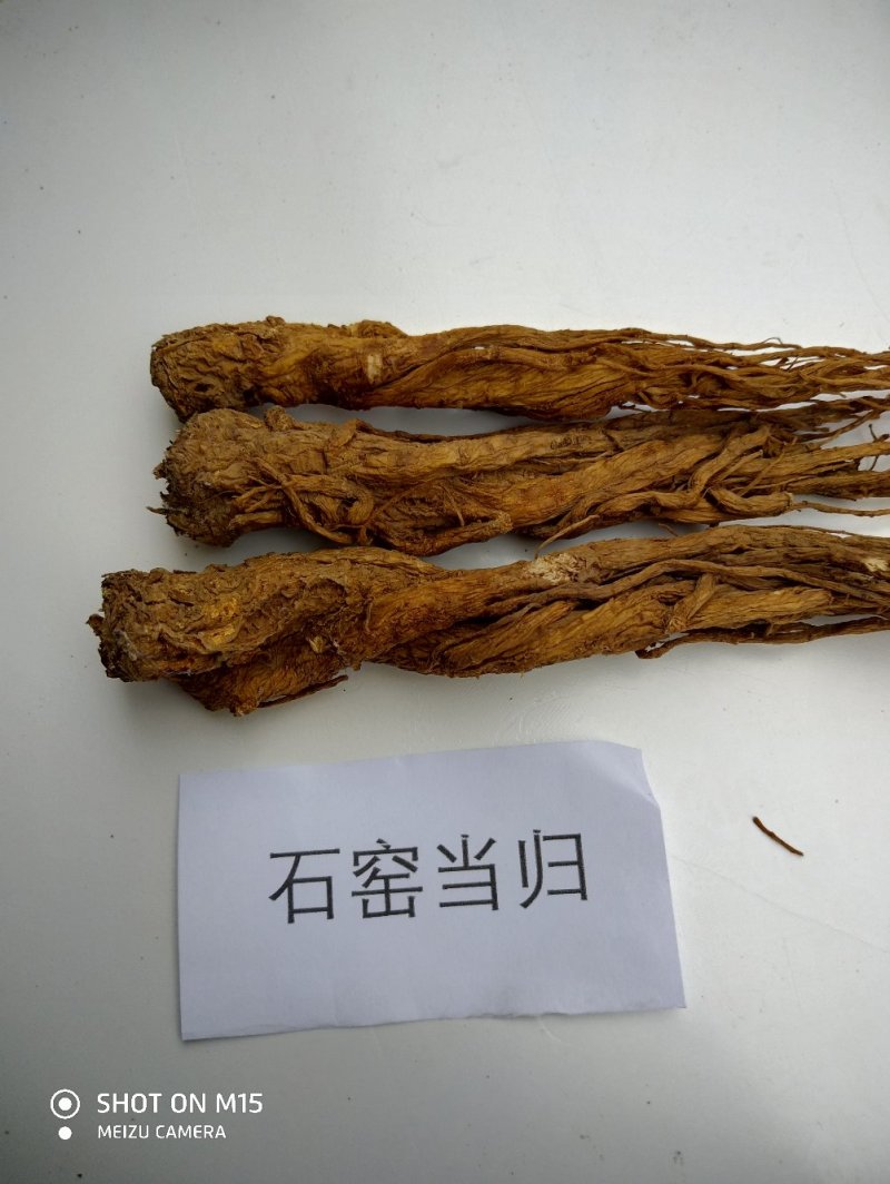 特产，补品，中药材，湖北当归（窑归）根茎粗壮