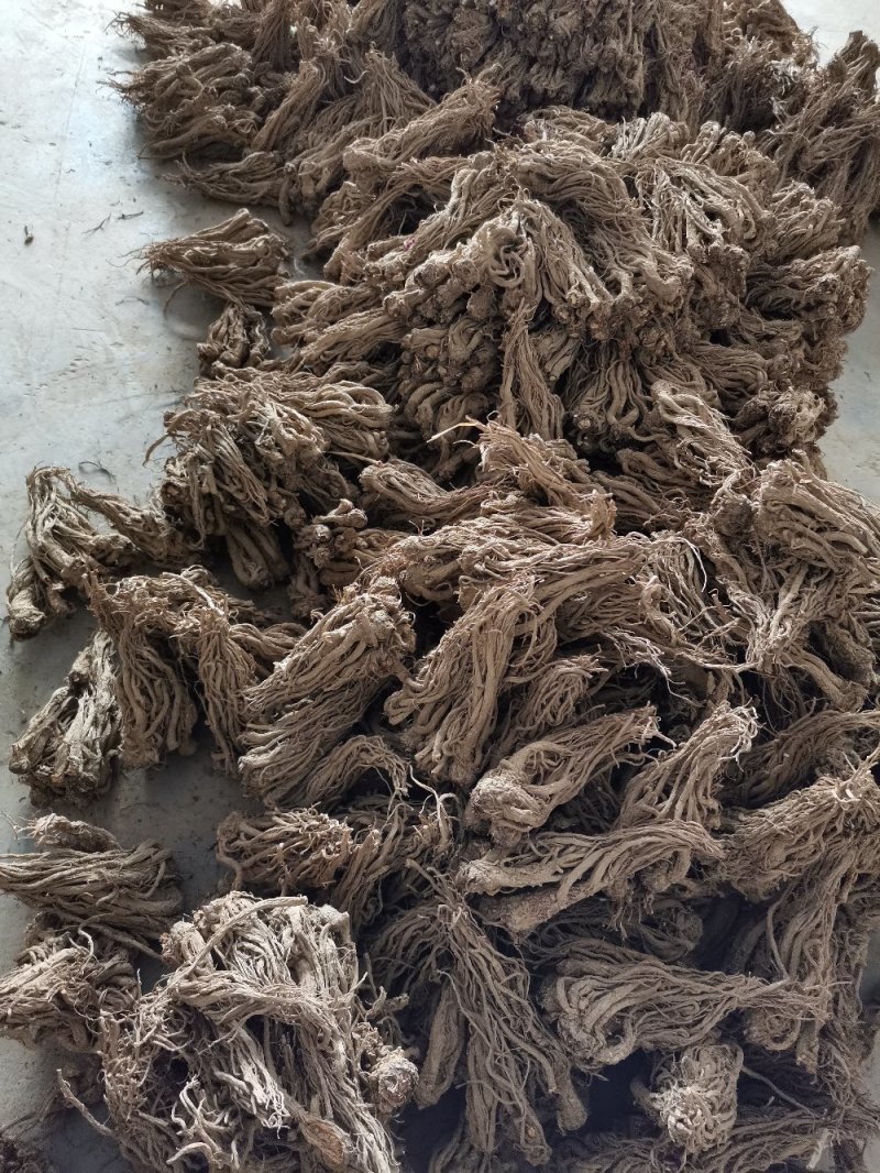 特产，补品，中药材，湖北当归（窑归）根茎粗壮