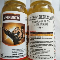沪联劲功5%高效氯氟氰菊酯菜青虫杀虫剂农药