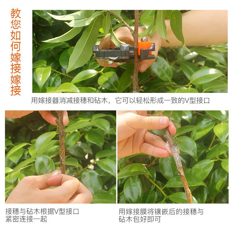 嫁接剪嫁接刀嫁接器（包邮）