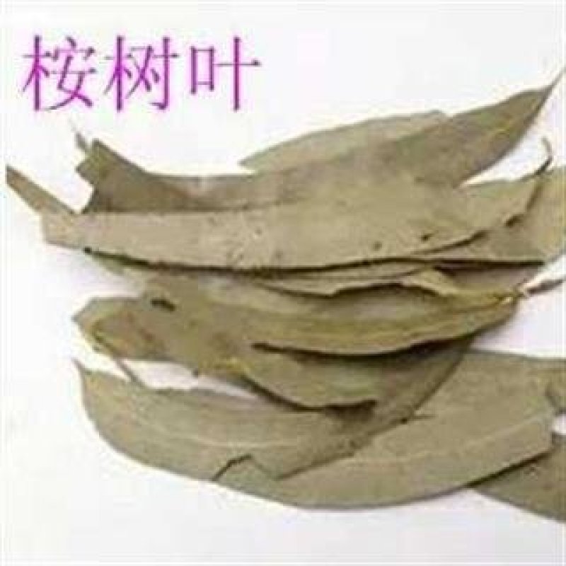 桉叶，别名桉树叶冷背药材常年批发代购，量大从优
