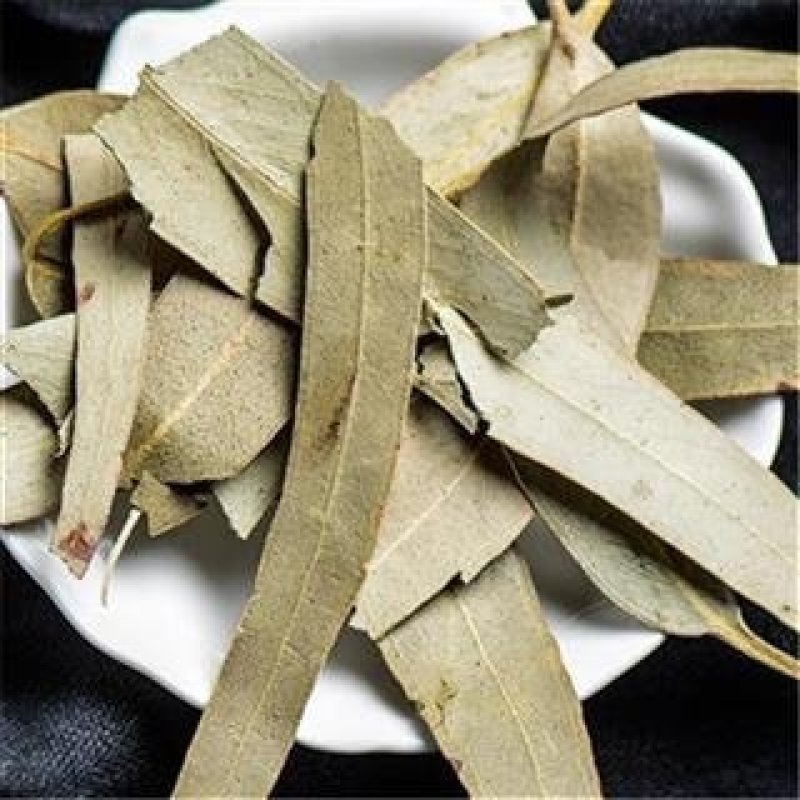 桉叶，别名桉树叶冷背药材常年批发代购，量大从优
