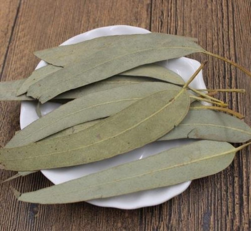 桉叶，别名桉树叶冷背药材常年批发代购，量大从优