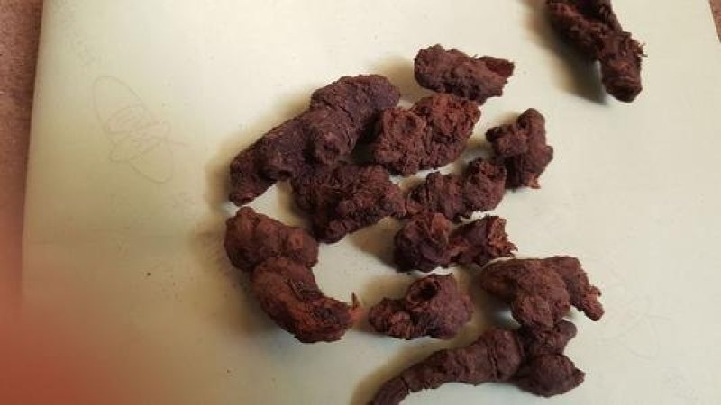 落新妇，中药材1公斤1袋，量大从优包邮