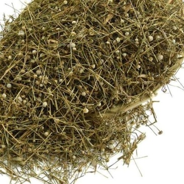 谷精草，常年批发供应各种规格谷精草中药材量大从优