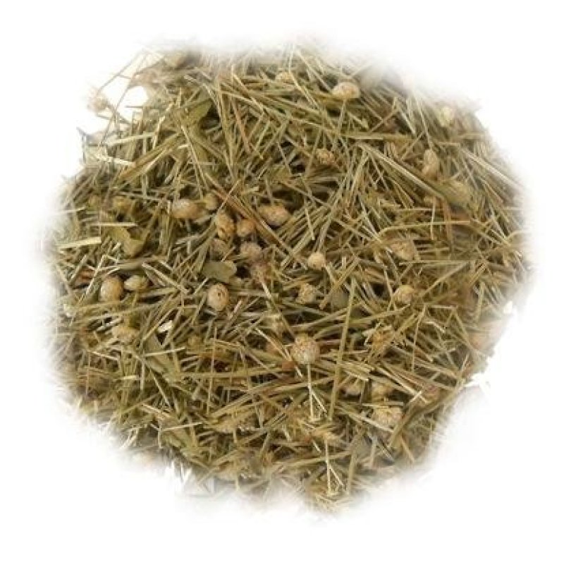 谷精草，常年批发供应各种规格谷精草中药材量大从优