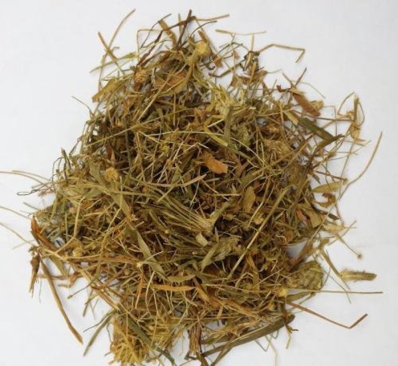 谷精草，常年批发供应各种规格谷精草中药材量大从优