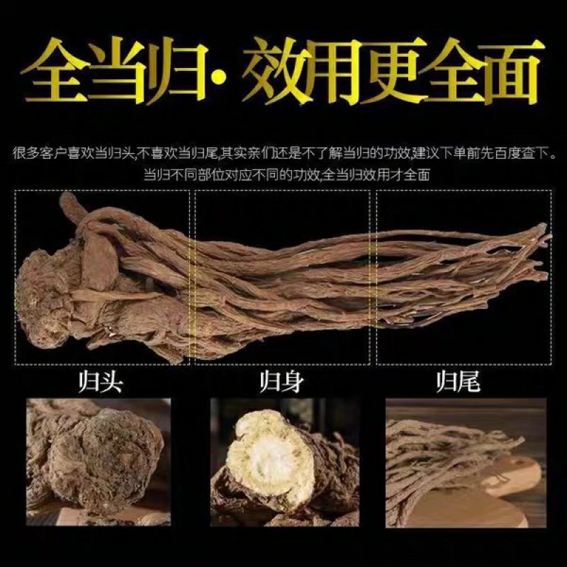 甘肃岷县小当归批发保质量自然晒干干净无杂质