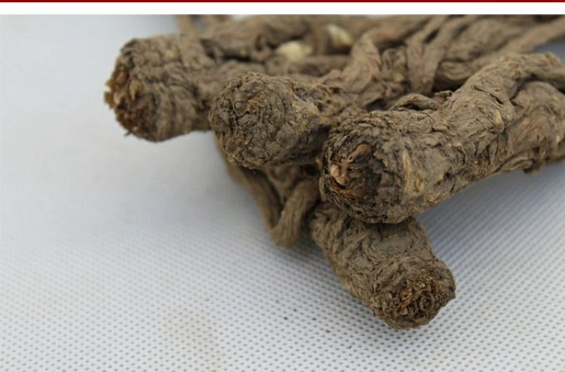 甘肃岷县小当归批发保质量自然晒干干净无杂质