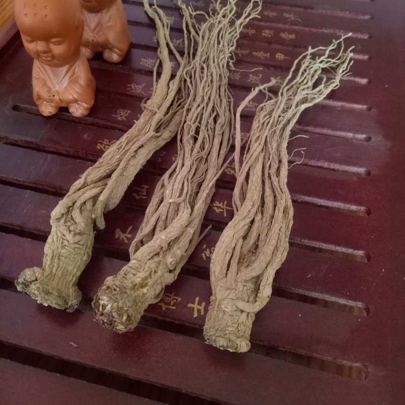 甘肃岷县小当归批发保质量自然晒干干净无杂质