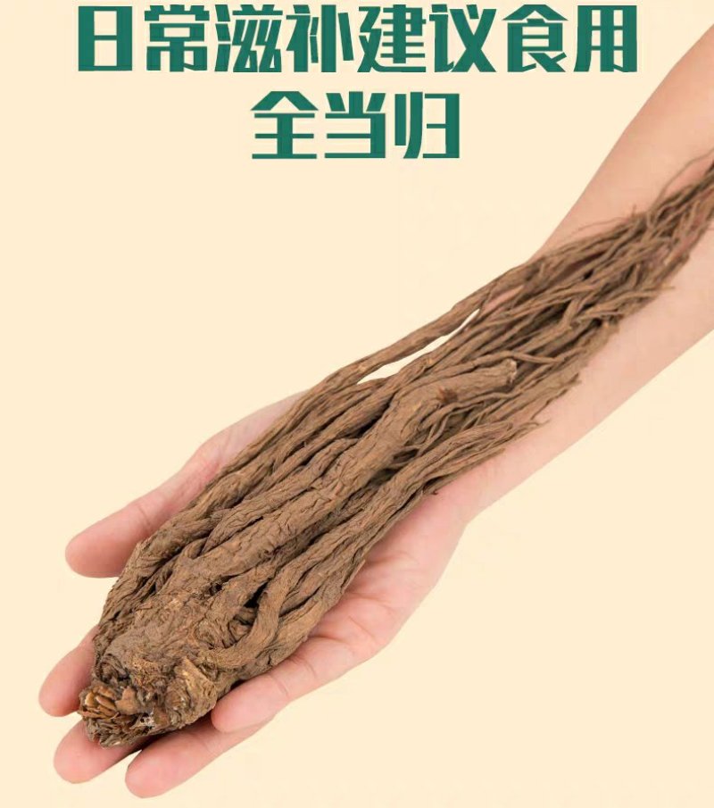 甘肃岷县小当归批发保质量自然晒干干净无杂质