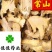 常山新货货干供应各种中药材冷背货