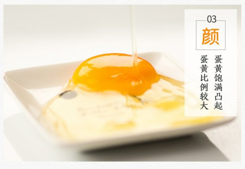 东北农村鲜鸡蛋中大码鸡蛋鸡蛋鸡蛋
