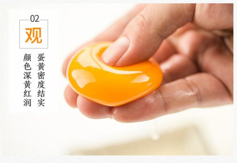 东北农村鲜鸡蛋中大码鸡蛋鸡蛋鸡蛋