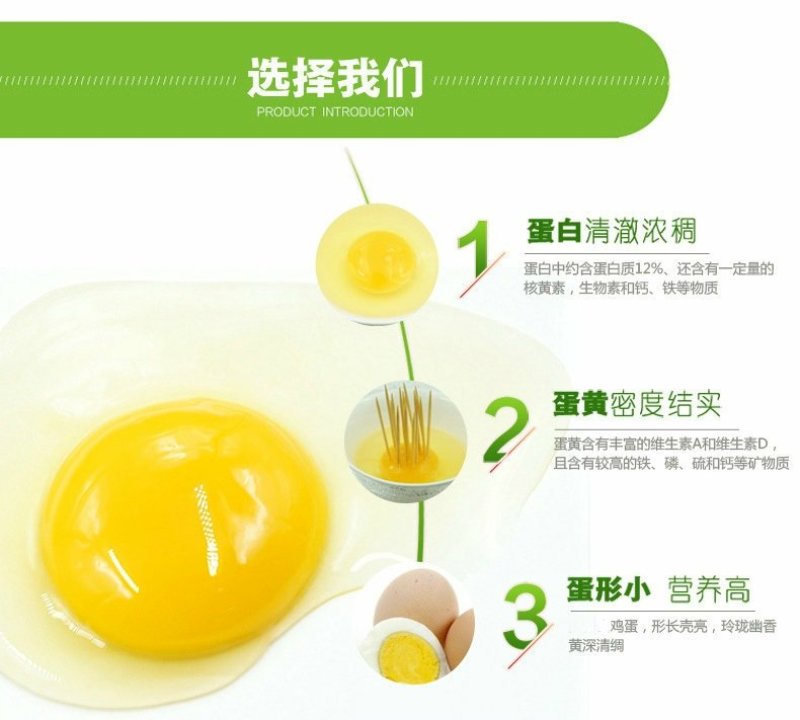 东北农村鲜鸡蛋中大码鸡蛋鸡蛋鸡蛋