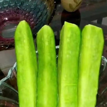 水果萝卜