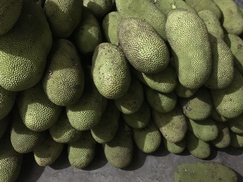 海南菠萝蜜，品质优，超亮，一年四季供应超市优品菠萝蜜！