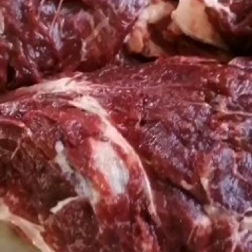 养殖场直供现杀新鲜马肉带皮马肉