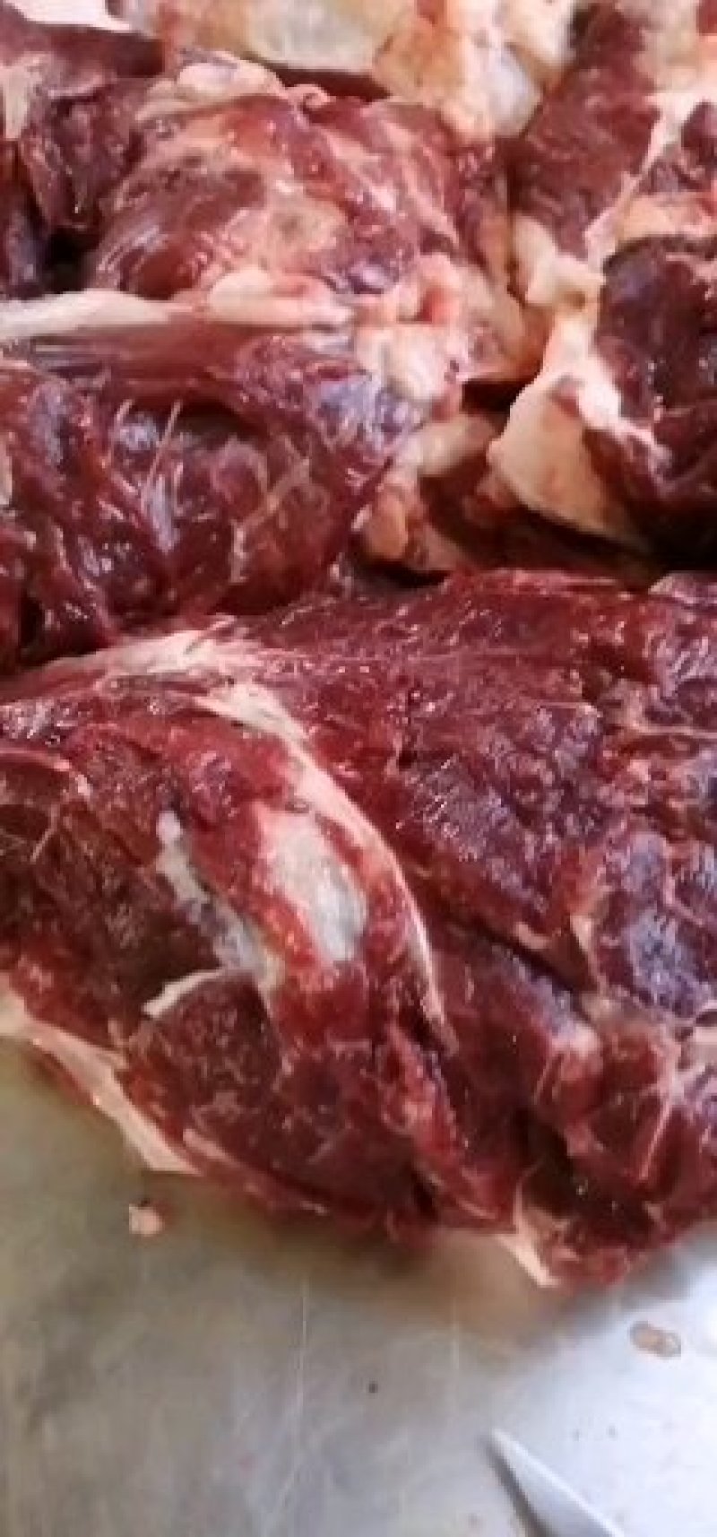 养殖场直供现杀新鲜马肉带皮马肉