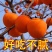 庭院盆栽地栽牛心柿子苗贡柿嫁接柿子树苗牛心柿子果