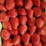 正宗丹东东港红颜九九草莓
