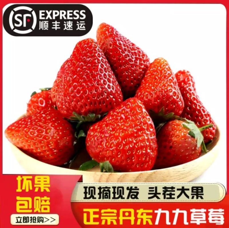 正宗丹东东港红颜九九草莓