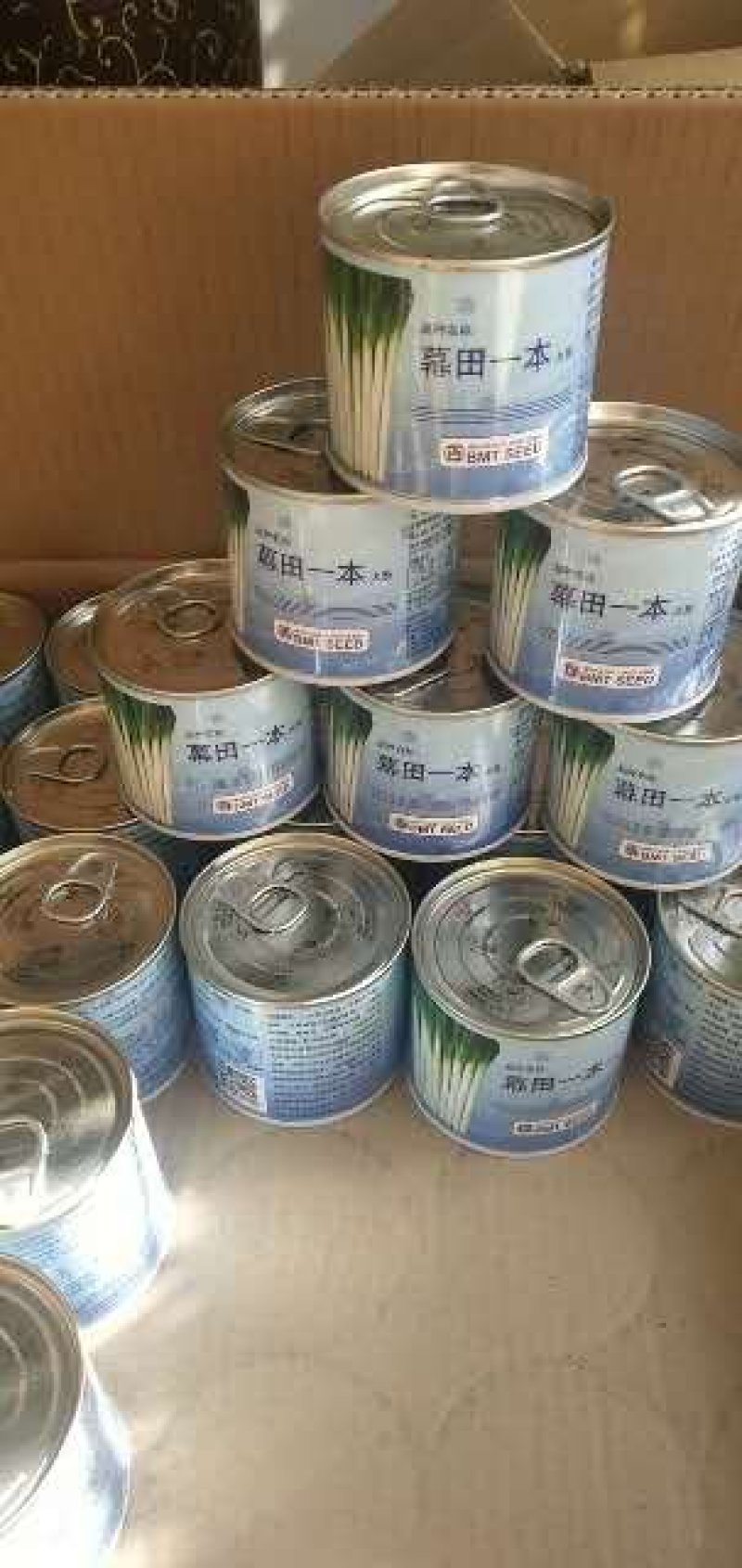 【好货推荐】潍坊旭峰大葱育苗合作社，出售一代葱苗