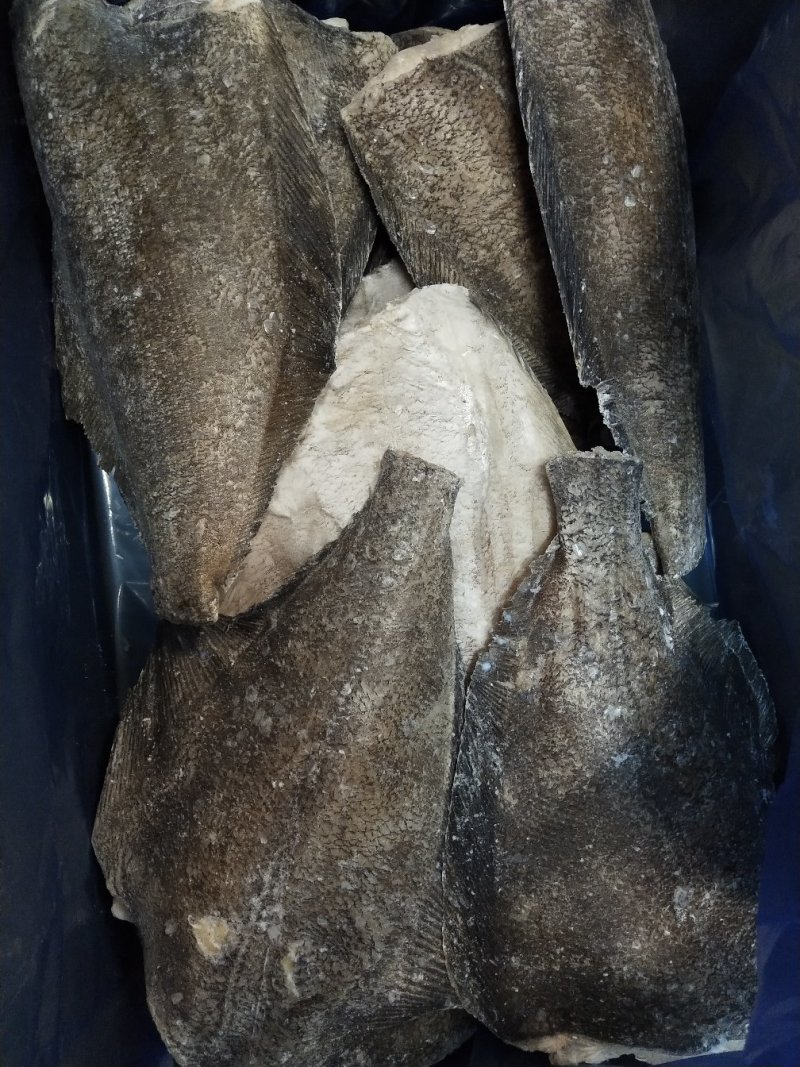深海鲽鱼
