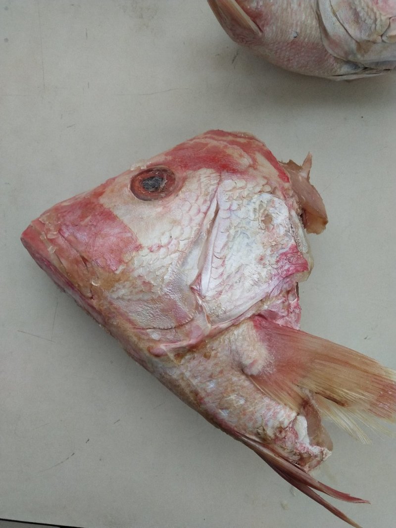 红鲷鱼鱼头