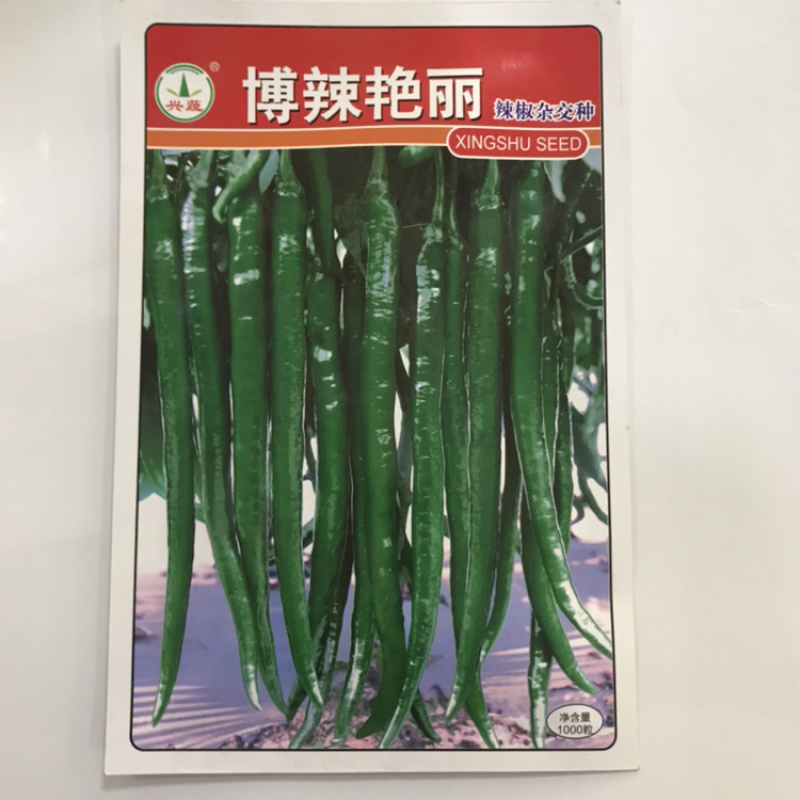 湖南兴蔬301辣椒种子批发正品行货基地专用品种