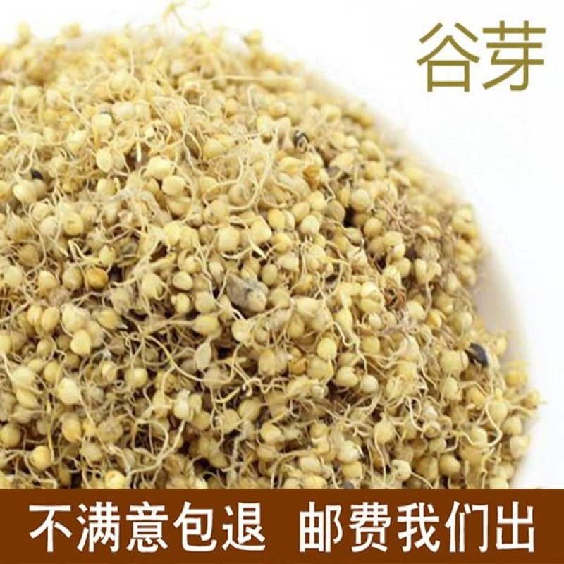 生谷芽包邮价粟芽、蘖米、谷蘖谷芽农家初选