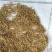 生谷芽包邮价粟芽、蘖米、谷蘖谷芽农家初选