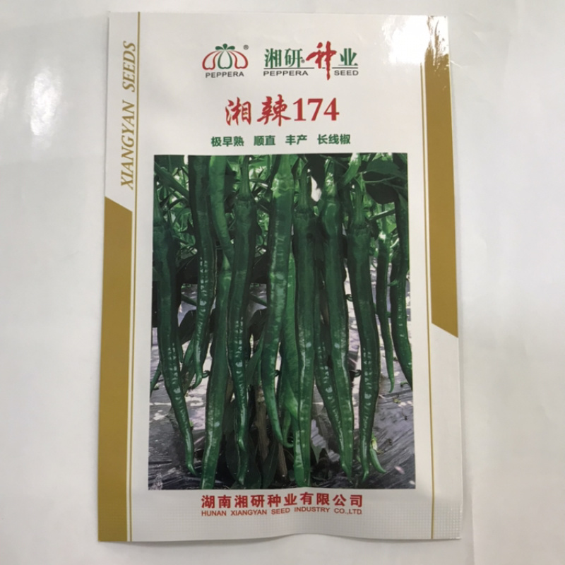 湖南椒妃辣椒种子批发黑线辣椒种子基地专用品种