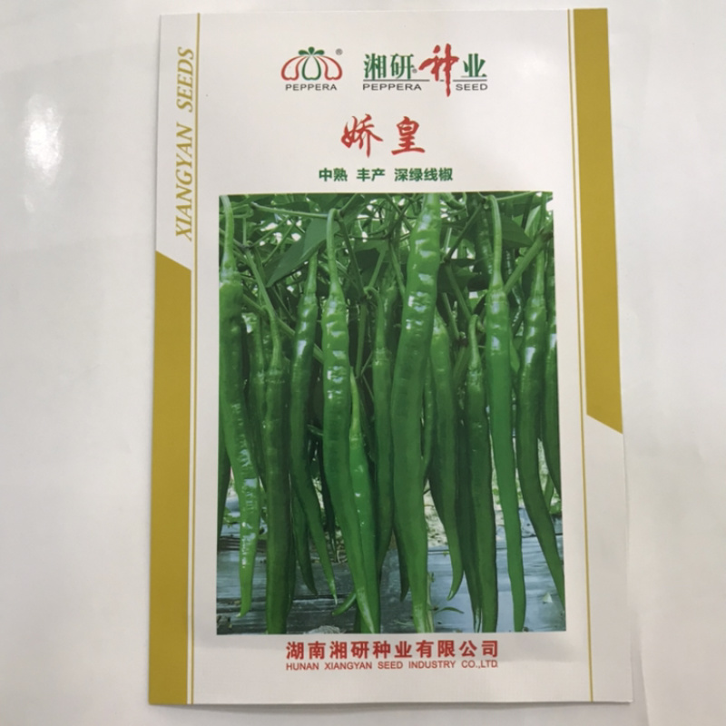 湖南椒妃辣椒种子批发黑线辣椒种子基地专用品种