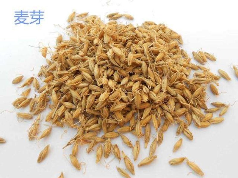 生稻芽稻芽干稻芽中药材农家初选111111