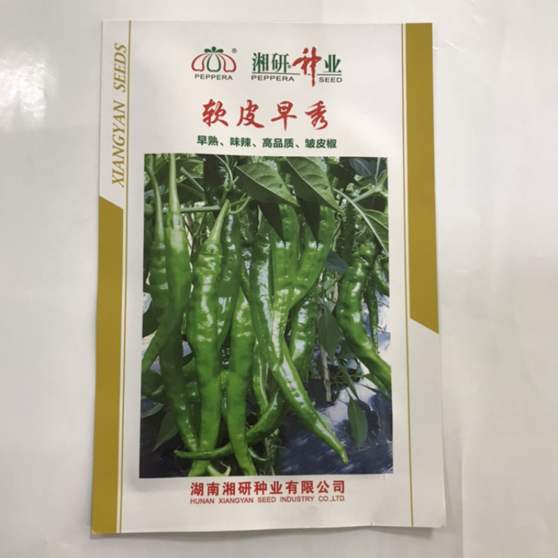 香辣1000辣椒种子长线椒种子线椒种植基地专用品种