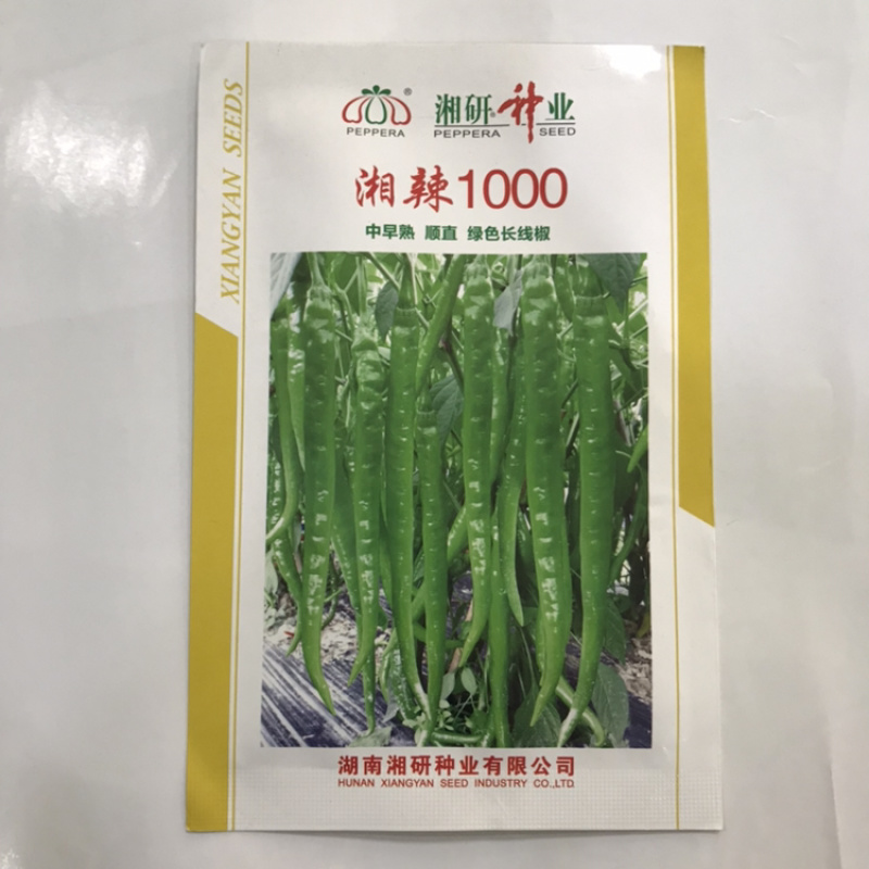 香辣1000辣椒种子长线椒种子线椒种植基地专用品种