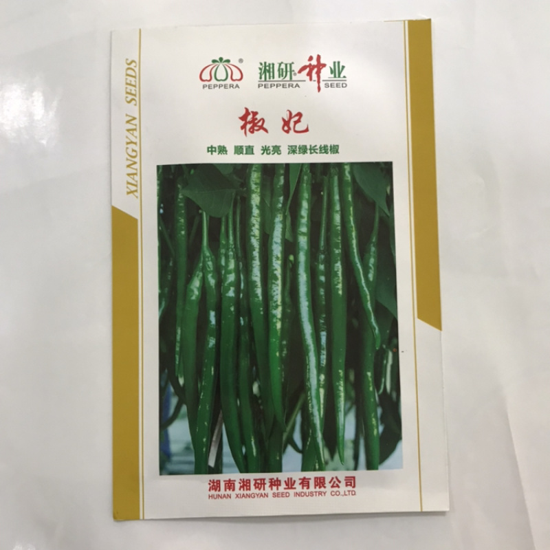 香辣1000辣椒种子长线椒种子线椒种植基地专用品种